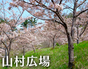 Landscape_Sansonhiroba (2).jpg